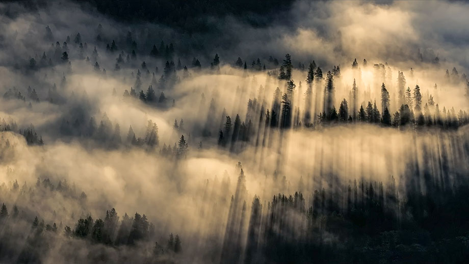 Das Flüstern der Wälder Film 01